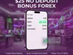 $25 No Deposit Bonus Bonus| Weby Markets Forex