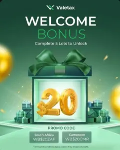 $20 No Deposit Bonus Forex Bonus | Valtex Withdrawal Proof