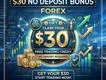 $30 No Deposit Bonus Forex | Liquid Brokers
