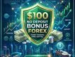 $100 No Deposit Bonus Forex | YWO Broker